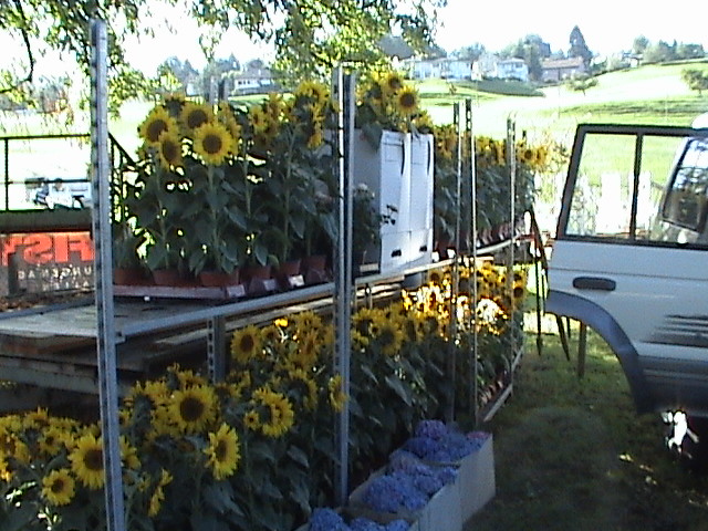 DSC00110