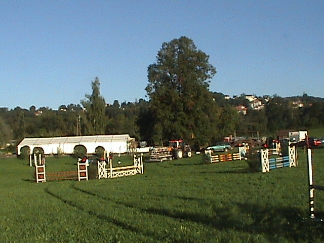 DSC00131