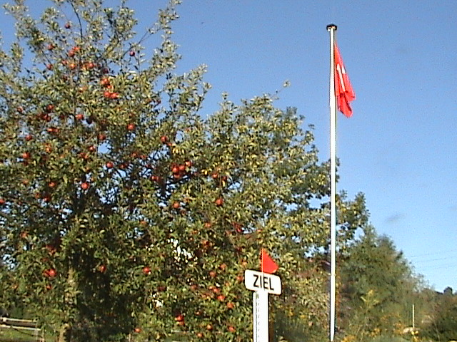 DSC00137