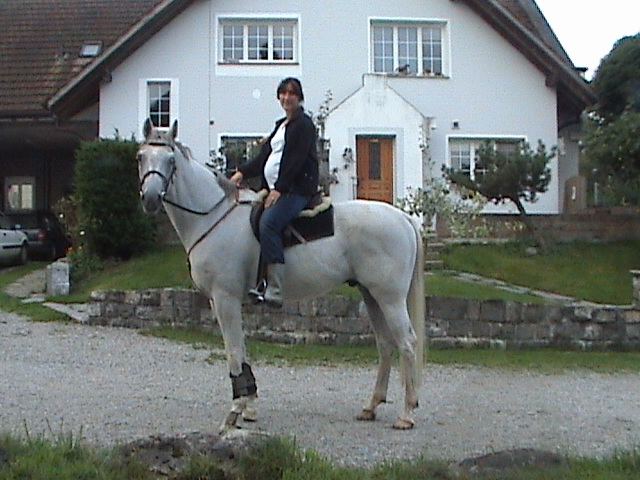 DSC00142