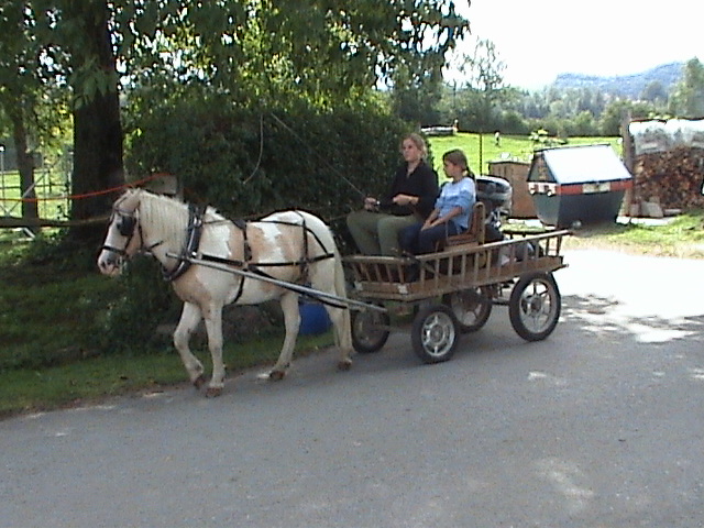 DSC00144