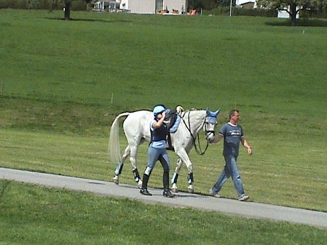 DSC00161