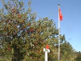 DSC00137
